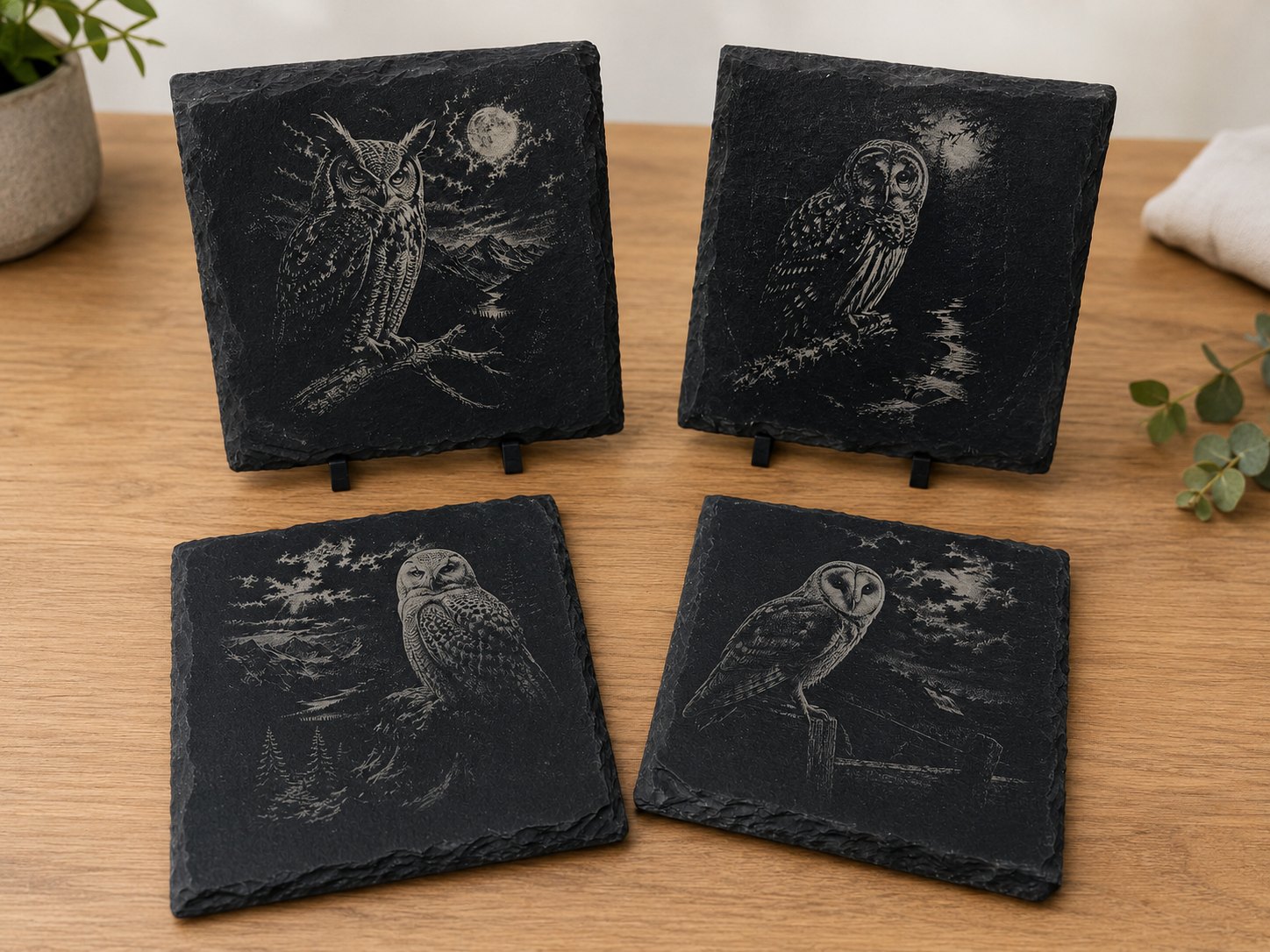 Night Owl Slate Coaster Set